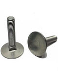 5/16"-18 x 2" StaInless Steel Elevator Bolt Full Thread