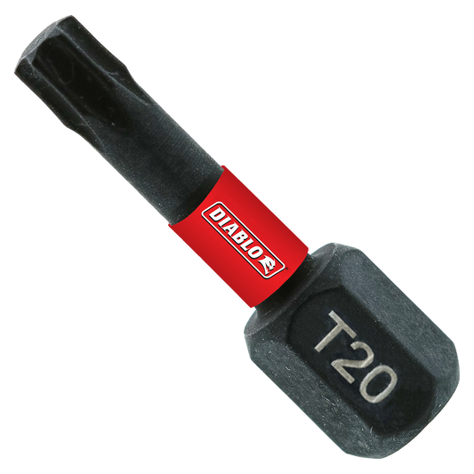 Qty 100 Diablo DT201P100 1 in. #20 Torx Drive Bits